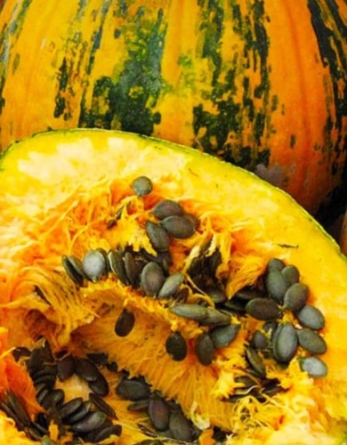 Pumpkin seeds styrian - pumpkin,