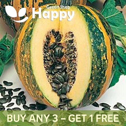 Vegetable pumpkin squash olga - squash,